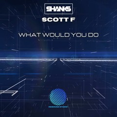 Shanks & Scott F - What Would You Do [sample]
