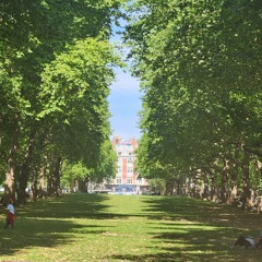 MAX & Felly - Acid Dreams (cover)