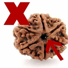 5 Things to Keep in Mind When Buying Rudraksha Online