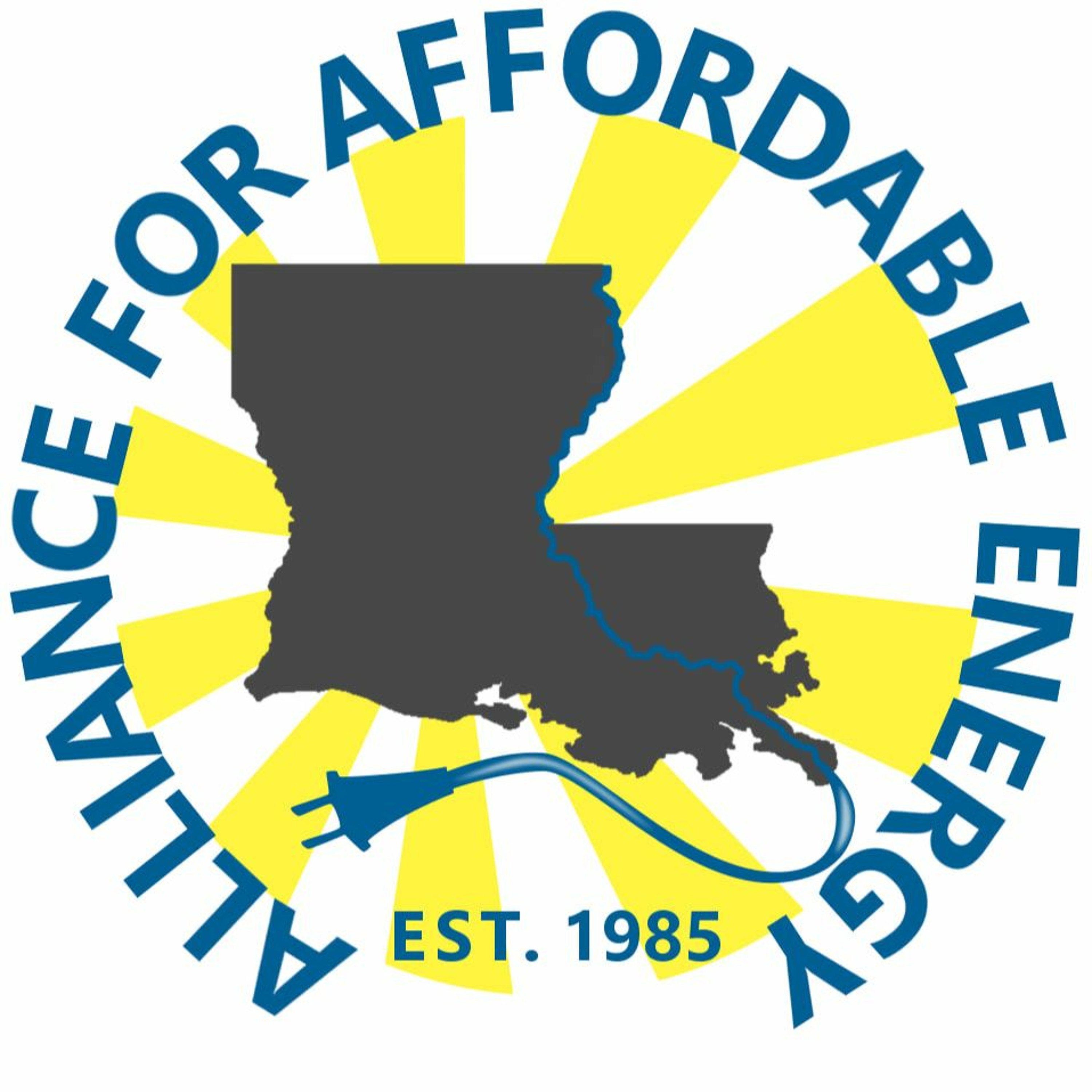 Interview With Logan Atkinson Burke from the Alliance for Affordable energy episode artwork