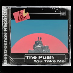 The Push - You Take Me