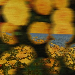 Pero Culture Crew, Leshanemoy - Ukraine Together (RAAMBeats, DjShon)