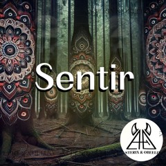 Sentir