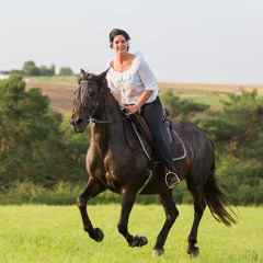 Reins and Saddle · Oud and Violin Rumba Mischief