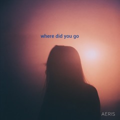 where did you go