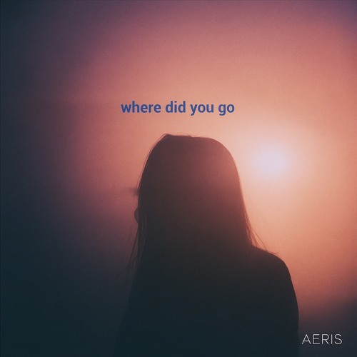 where did you go