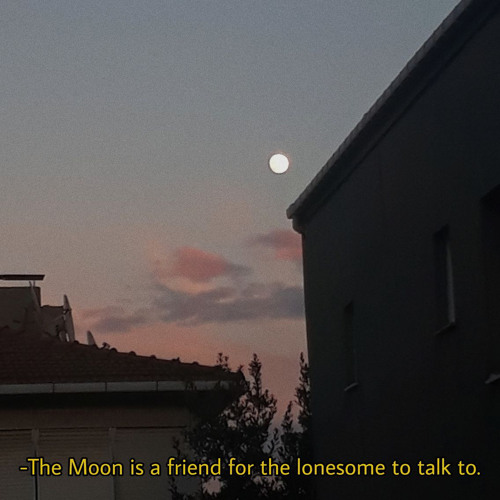 rises the moon // cover