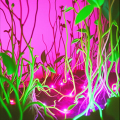 Collective unconscious