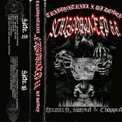 TRXPPYXTRXLL X DJ DOPEY - SCHIZOPHONK EP 6.6 (TRXPPXD, SLOWED & CHOPPED)