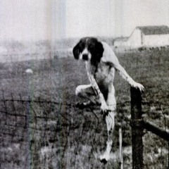 dollmight - забываю