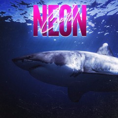 Neon Capital - Open Water