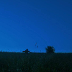last summer days