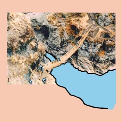 bedbug - life like getting older