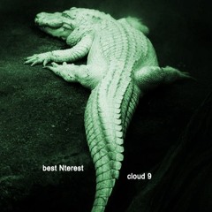 best Nterest