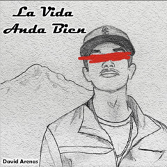 David Arenas - La Vida Anda Bien (version tololoche)