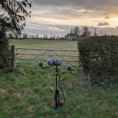 Rural silence - Rycote OM-08