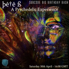 Pete B - A Psychedelic Experience