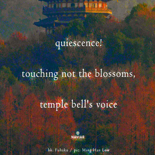 quiescence! [naviarhaiku580]