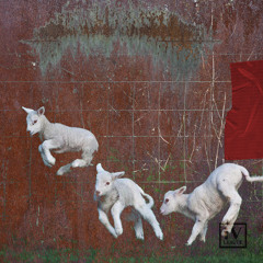 smooth_archv_10102019