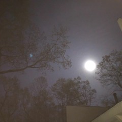 Back in the Good Old World (Tom Waits)