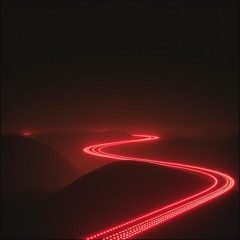 Into the Night