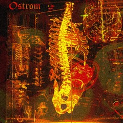 RE:VISION - Repetition