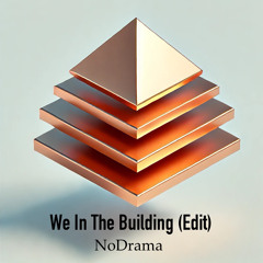 We In The Building (Edit)