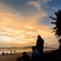 AANA vedan.