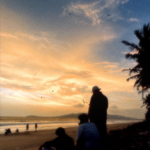 AANA vedan.