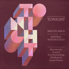 Tonight (Fred Everything Lazy Dub) [feat. Meshell Ndegeocello]