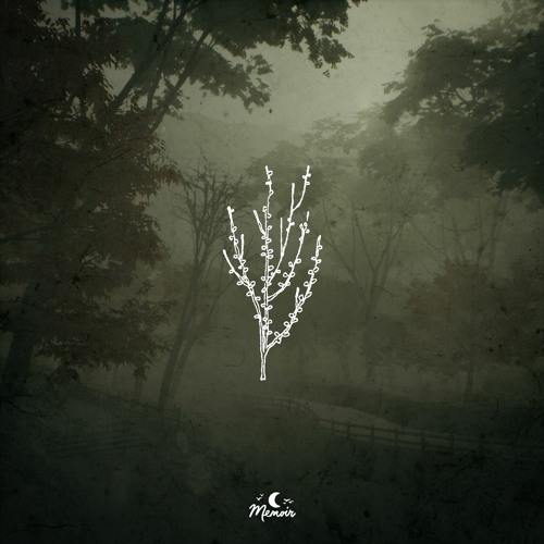 Aviino & Aso - A Deeper Understanding