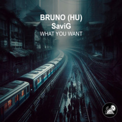 Bruno (HU) x SaviG - What You Want (Original Mix)