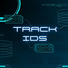 TRACK IDs - (Set Promo Summer 2024-David Torres Mixed)