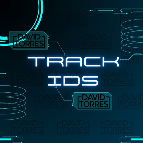 TRACK IDs - (Set Promo Summer 2024-David Torres Mixed)
