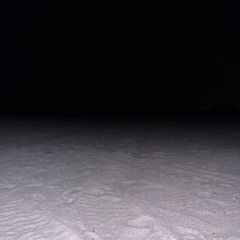 View from the Bottom