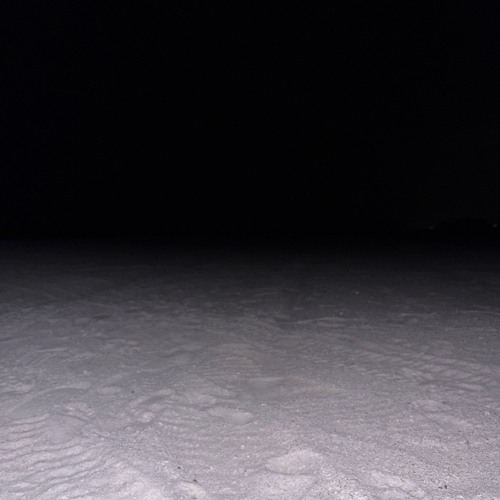 View from the Bottom