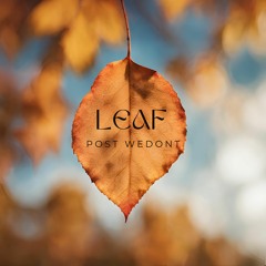 POST WEDONT - Leaf