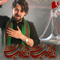 farhan ali waris new noha zainab zainab