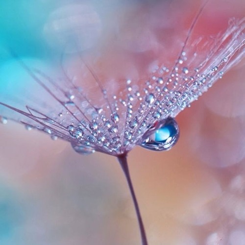 (عمر خيرت - اندلسية (موسيقى هادئة (192  kbps) (abdwap2.com) (1).mp3