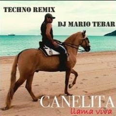 Llama Viva - Canelita (Techno Remix)DJ Mario Tebar