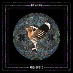 InVolo 016 | Microvoto | Use it, Don't abuse it
