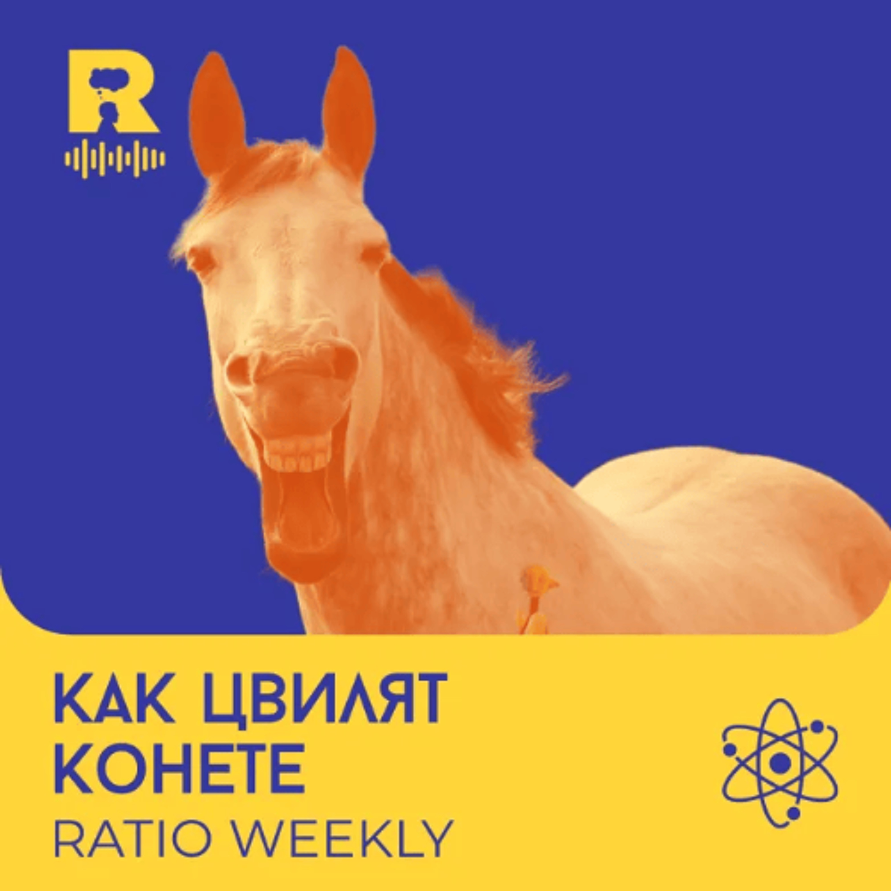 EP798 - Как цвилят конете – [Ratio Weekly с Никола Кереков]