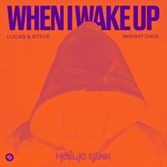 When I Wake Up - Lucas & Steve, Skinny Days (NOËLJO Remix)
