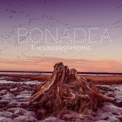 The Understanding: Full live album preview (2hr live show)
