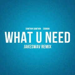 sumthin sumthin & ero808 - what U need (Jakeswav Remix)