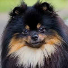 dead girl walking reprise (sped up)