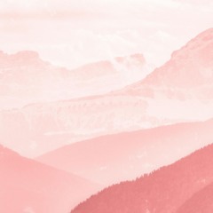 Podcasts