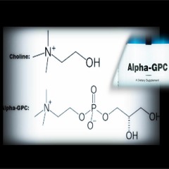 - ALPHA GPC - Binaural Brain Doping (Enhanced Cognitive Functions, Mind-Muscle Connection)