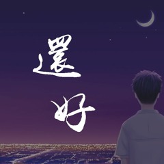 卢卢快闭嘴 - 还好「我一个人还好，只是不再爱笑」【動態歌詞/pīn yīn gē cí】