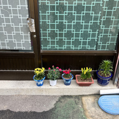 과거에 살아